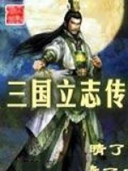 三国立志传2加点