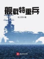 舰载特重兵创业篇txt