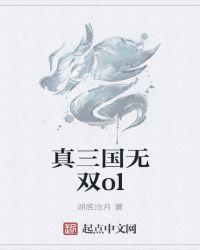 真三国无双ol长刀