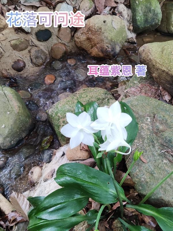 花落什么意思