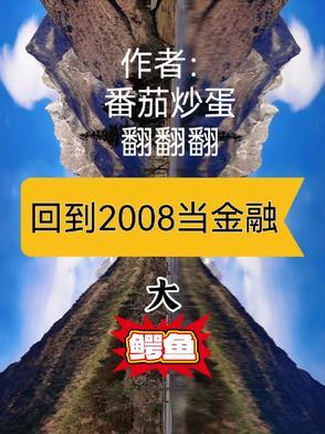 回到2008百科