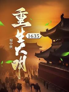 重生大明16帝